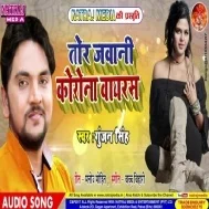 Tor Jawani Corona Virus | Gunjan Singh | Mp3 Songs