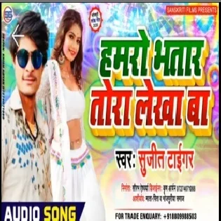 Hamar Bhatar Tora Lekha Ba | Sujit Tiger |  Mp3 Songs