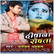 Bhatar Mora Ke Ber Chadi | Dhananjay Dhadkan | Mp3 Song