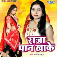 Raja Paan Khake | Kavita Yadav | 2020 Mp3 Songs