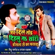 Jab Dil Tod Dihalu Ta Sorry Bolla Se Ka Fayda | Mithu Marshal , Dhananjay Dhadkan |