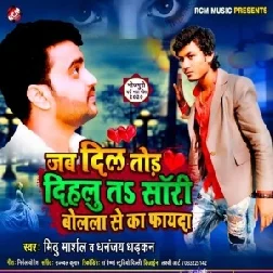 Jab Dil Tod Dihalu Ta Sorry Bolala Se Ka Fayda | Mithu Marshal , Dhananjay Dhadkan | 2020 Mp3 Songs