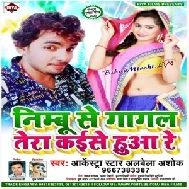 Nimbu Se Gagal Tera Kaise Huaa Re | Alwela Ashok | 2020 Mp3 Song