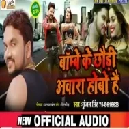 Bombay Ke Chhauri Aawara Hobo Hai Nayi Detao Laut Ke Aawe Ge Mp3 Song