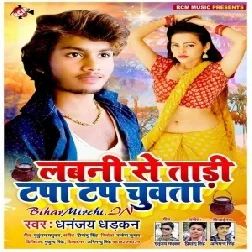 Labni se Tadi Tapa Tap Chuwata (Dhananjay Dhadkan) 2020 Mp3 Songs