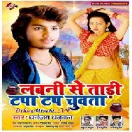 Labni se Tadi Tapa Tap Chuwata (Dhananjay Dhadkan) 2020 Mp3 Songs