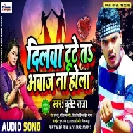 Dilwa Tute Ta Aawaj Na Hola (Bullet Raja) 2020 Mp3 Songs