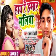 Hai Re Hamar Maliya (Krishna Nidardi) 2020 Mp3 Songs