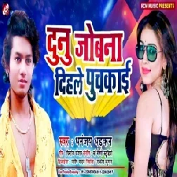 Dunu Joban Dihale Puchkai (Dhananjay Dhadkan) 2020 Mp3 Songs