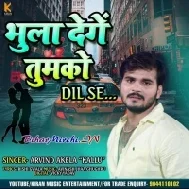 Bhula Denge Tumko Dil Se (Arvind Akela Kallu)