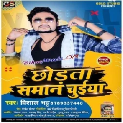 Chodata Saman Chuiya (Vishal Bhatt) 2020 Mp3 Songs