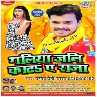 Galiya Jani Kata Ae Raja (Pramod Premi Yadav) Mp3 Song