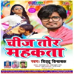 Chij Tor Mahakta (Bittu Vinayak)2020 Mp3 Songs