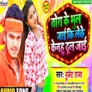 Tora Ke Bhul Jaai Ki Leke Kenhu Dhul Jaai (Bullet Raja) Mp3 Songs