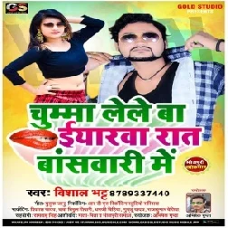 Chumma Lele Ba Iyarwa Rat Baswari Me (Vishal Bhatt) 2020 Mp3 Songs