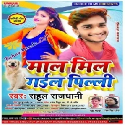 Mal Mil Gail Pilli (Rahul Rajdhani) 2020 Mp3 Songs