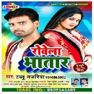 Rowela Bhatar (Dablu Najariya) 2020 Mp3 Songs