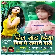 Dil Tod Diya Dil Me Samane Wale (Dhananjay Dhadkan) 2020 Mp3 Songs