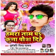 Hamra Nam P Kutta Posh Dihe (Pradeshi Piya Yadav , Priya Singh) 2020 Mp3 Songs