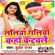 Laliya Galiya Kaha Katawale (Bullet Raja) Mp3 Songs