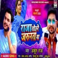 Raja Tohre Jaroorat Ba (Ankush Raja) Dj Songs