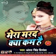 Mera Marad Kya Kam Hai (Antra Singh Priyanka) Mp3 Songs