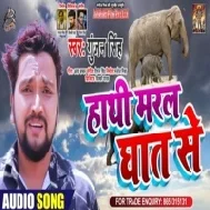 Haathi Maral Ghaat Se (Gunjan Singh) Mp3 Songs