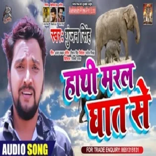 Haathi Maral Ghaat Se (Gunjan Singh) Mp3 Songs