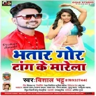 Bhatar Gor Tang Ke Marela (Vishal Bhatt)