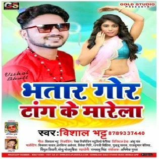 Bhatar Gor Tang Ke Marela (Vishal Bhatt)