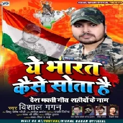 Ye Bharat Kaise Sota Hai (Vishal Gagan) 2020 Mp3 Songs