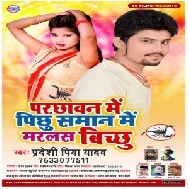 Parchhawan Me Pichhu Saman Me Marlas Bichchhu (Pradeshi Piya Yadav) 2020 Mp3 Songs