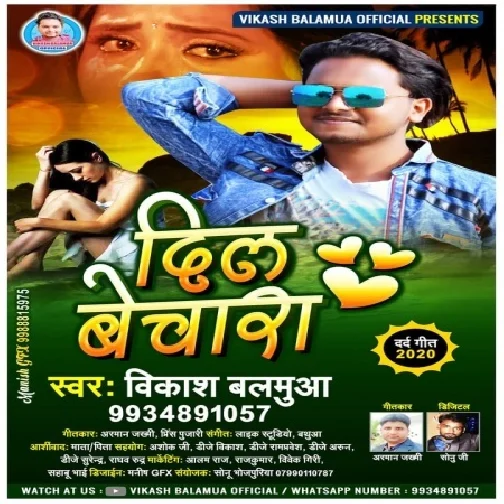 Dil Bechara (Vikash Balamua) 2020 Mp3 Songs