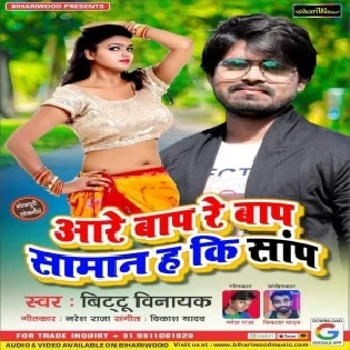 Aare Bap Re Bap Saman H Ki Sanp (Bittu Vinayak)