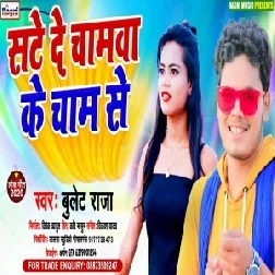 Sate Da Chamwa Se Cham Se (Bullet Raja) 2020 Mp3 Songs