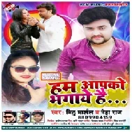 Hum Aapko Bhagaye Hai (Mithu Marshal, Neha Raj) 2020 Mp3 Song