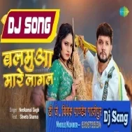 Balamuwa Mare Lagal (Neelkamal Singh) Dj Song Dj Vivek Pandey