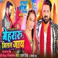 Mehari Milal Biya Hamara Ke Gay Ho Dada (Pawan Singh) Dj Vivek Pandey